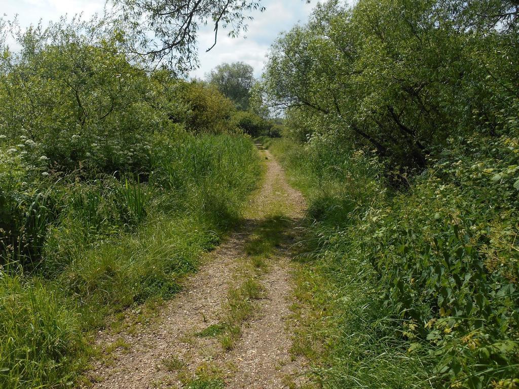 Shirley Apartments, Cozy Studio, Self Check In, 10 Min Drive To City Centre, Walking To Redbridge Train Station Southampton Exterior foto
